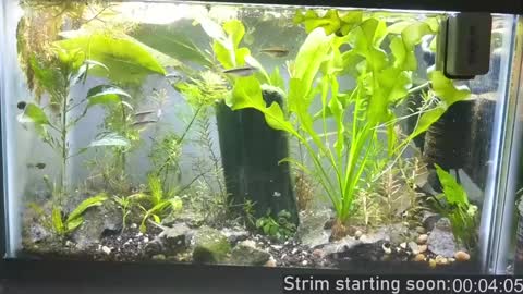 Booker Baxton online show from December 15, 2024, 4:07 am