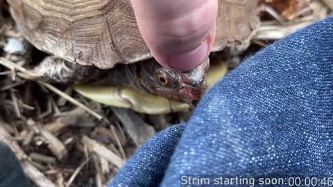 Booker Baxton online show from December 21, 2024, 4:09 am