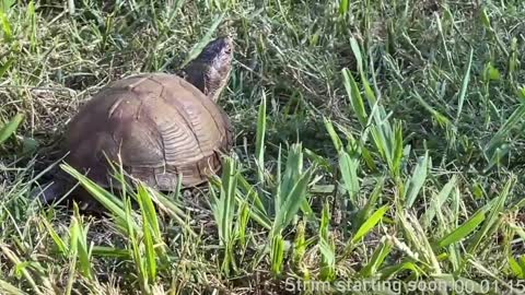 Booker Baxton online show from January 11, 2025, 4:06 am