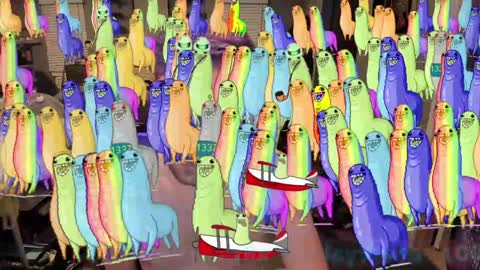 Booker Baxton online show from January 15, 2025, 7:05 am