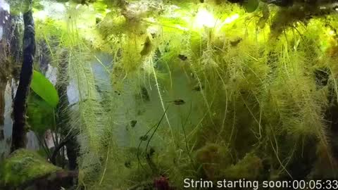 Booker Baxton online show from February 4, 2025, 4:05 am