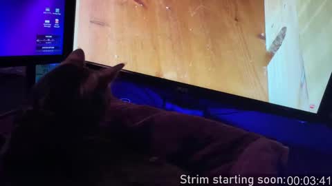 Booker Baxton online show from September 20, 2025, 3:07 am