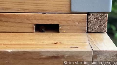 Booker Baxton online show from October 22, 2025, 2:56 am