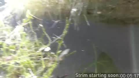 Booker Baxton online show from November 27, 2025, 4:03 am