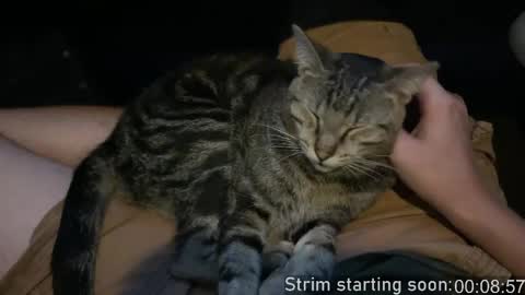 Booker Baxton online show from April 14, 2026, 3:01 am