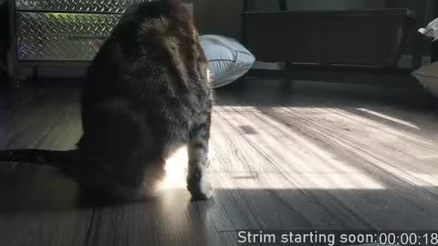 Booker Baxton online show from April 21, 2026, 3:02 am