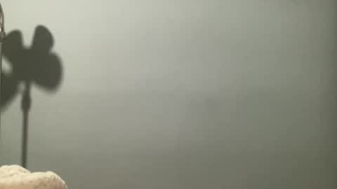 boselythornton1 online show from March 29, 2026, 6:57 am