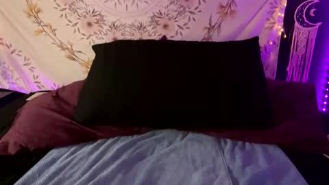 BossMom online show from February 19, 2025, 1:51 am