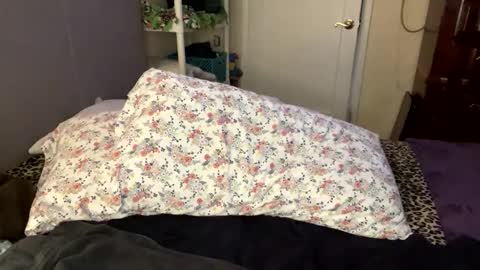 BossMom online show from February 21, 2025, 5:42 pm