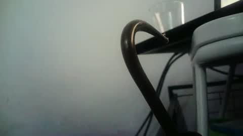 Snapshot of bottommlad chatting on January 9, 2025, 8:01 pm BottoMMlad online show from January 9, 2025, 8:01 pm