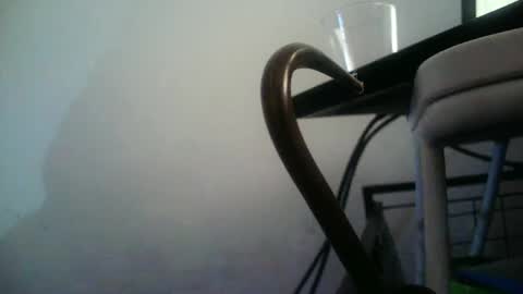 Snapshot of bottommlad chatting on January 10, 2025, 12:38 am BottoMMlad online show from January 10, 2025, 12:38 am