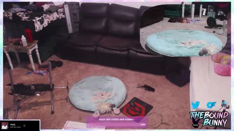Snapshot of boundbunny98 chatting on March 7, 2026, 1:13 am TheBoundBunny online show from March 7, 2026, 1:13 am
