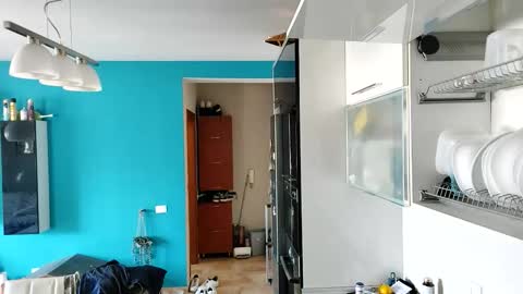 Dan online show from September 13, 2025, 10:26 am