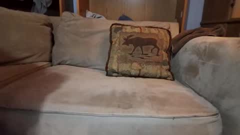 smoothslutfordaddy online show from February 9, 2026, 4:05 am