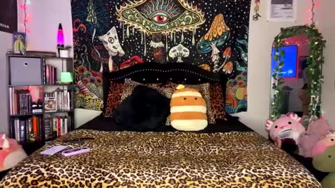 Puddin online show from February 24, 2025, 5:54 am