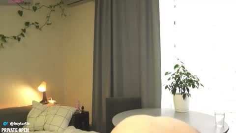 Snapshot of boyturtle chatting on November 5, 2025, 10:04 am BoyTurtle online show from November 5, 2025, 10:04 am