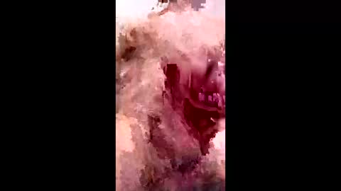 bracka100 online show from February 9, 2026, 7:56 am