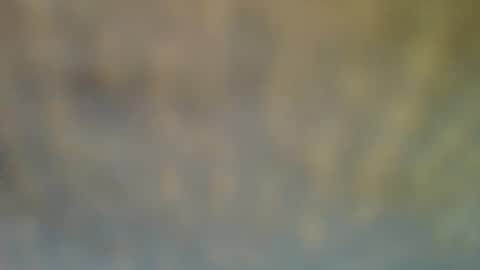 bradynoggle online show from February 12, 2025, 6:40 pm