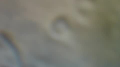 bradynoggle online show from September 11, 2025, 2:55 am