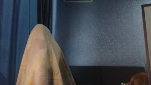 Snapshot of brandy__stars chatting on November 8, 2025, 4:56 am Belle online show from November 8, 2025, 4:56 am