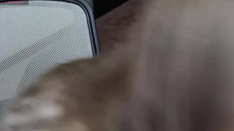 Brandy Gem online show from February 10, 2026, 7:23 am