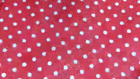 brianriver online show from September 18, 2025, 8:49 am