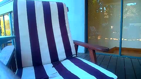 Fun Monster online show from February 20, 2026, 6:19 am