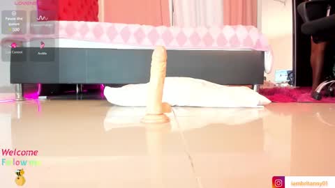 Snapshot of brittanyjhonnns chatting on March 7, 2025, 9:18 am brittany 25 years old happy as a worm online show from March 7, 2025, 9:18 am