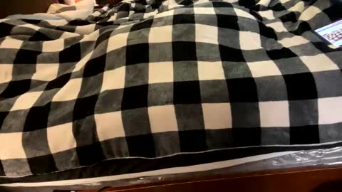 Snapshot of brownbootie1 chatting on January 7, 2025, 4:05 pm brownbootie1 online show from January 7, 2025, 4:05 pm