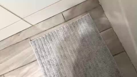 brownboyli online show from March 2, 2026, 3:09 am