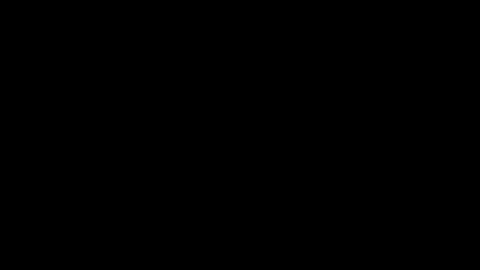 BryN online show from December 8, 2024, 12:29 am