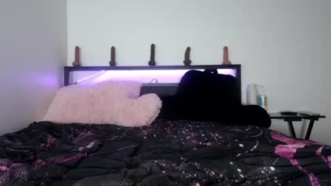 Snapshot of bubble_girl_lo chatting on June 29, 2026, 5:57 am Queen Lola XXX online show from June 29, 2026, 5:57 am
