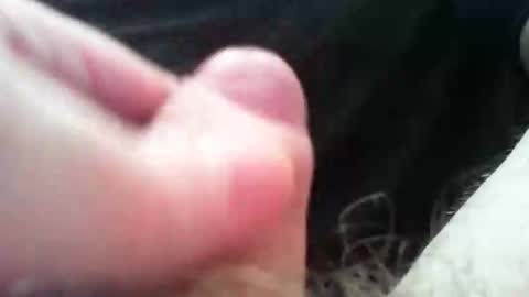 bullemoe online show from November 4, 2025, 1:32 pm