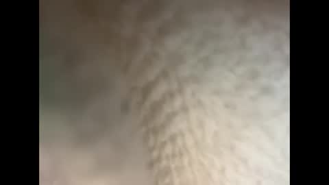 bull cub online show from December 5, 2024, 11:40 pm