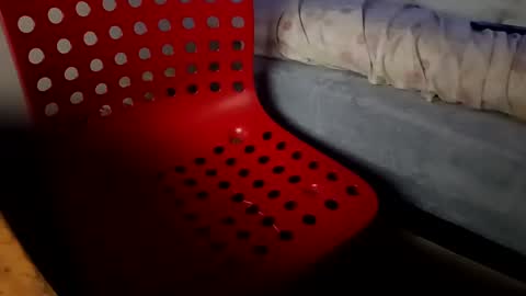 bullspain27266272 online show from January 26, 2025, 4:41 am