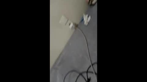 bullspain27266272 online show from January 29, 2025, 3:01 am