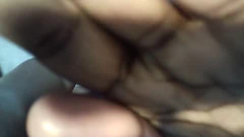 melisa online show from April 17, 2026, 11:13 am