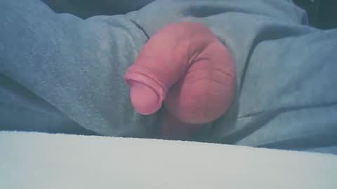 Dutch cock online show from January 11, 2025, 8:33 am