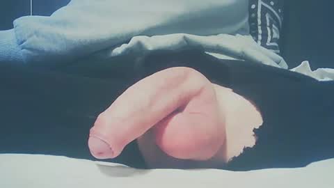 Dutch cock online show from February 23, 2025, 3:40 pm