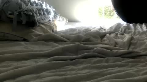 Snapshot of bunny286025 chatting on February 11, 2025, 5:18 pm bunny286025 online show from February 11, 2025, 5:18 pm