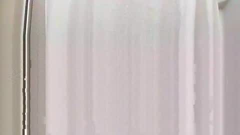 Burnout1315 online show from December 28, 2024, 5:03 pm