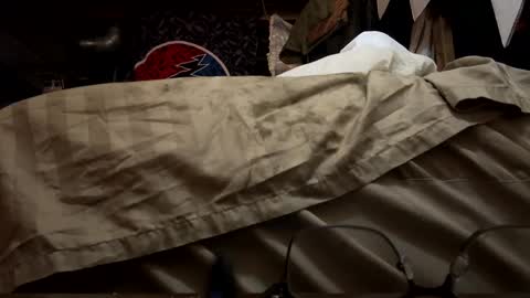 bushdoctor1 online show from January 19, 2025, 2:06 pm