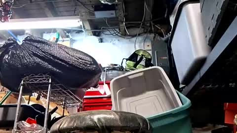 bushdoctor1 online show from September 10, 2025, 9:53 am