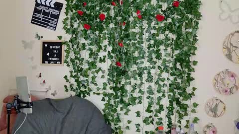 butterfly booty online show from November 1, 2025, 2:19 pm