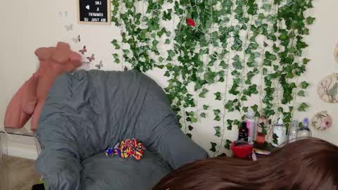 butterfly booty online show from November 4, 2025, 3:44 pm