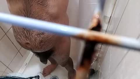 bxpapi69 online show from November 10, 2025, 4:22 am