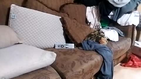 bxpapi69 online show from November 13, 2025, 1:26 am