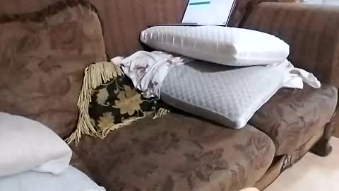 bxpapi69 online show from November 22, 2025, 11:59 pm