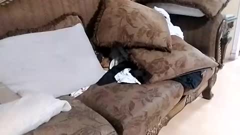 bxpapi69 online show from December 1, 2025, 10:37 pm