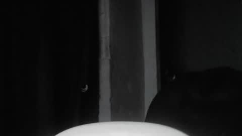 cafinfi1 online show from February 18, 2026, 1:45 am